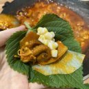 쭈마담 이미지
