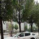 역곡점 현대자동차 이미지