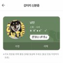 이뿐이 | 동반 호텔] 반려견이 있다면 꼭 한번 방문해야하는 숙소 : 키녹(Kinock) 내돈 내산_ 시바견과 함께한 후기