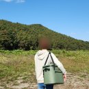 [제품리뷰] 캠핑뉴아이템 아이스쿨러 후기 : 밤켈 소프트쿨러 24캔 올리브