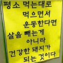 챔피언점핑다이어트 네이버블로그