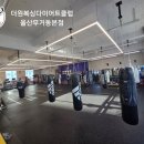 옥동복싱체육관 이미지