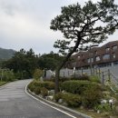대현교육문화센터 앞 | 경기도 용인 자연휴양림 산림교육센터 1박 내돈내산 후기