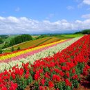 산좋고물좋고 | 《부산출발일본여행♥북해도》🏞️ 산 좋고 물 좋은💚 북해도 소운쿄 힐링여행 🌳