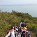 제315차 정기산행 무의도 섬 산행 공지 (5/9,토) - 레포 이미지
