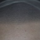 은지노헤어 | 두피문신 후기, 후회하는 이유 솔직하게 알려드립니다