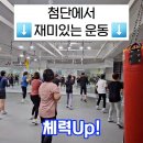 뮤직비트복싱 이미지