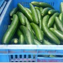 근수농장 이미지