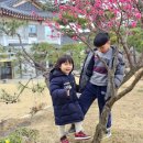 동트는집 이미지