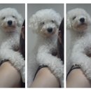 신사2-007 이미지