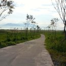 솔뫼공원 이미지