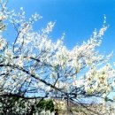 백운산민박