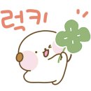 영춘식탁 이미지