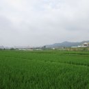 완산-90 이미지