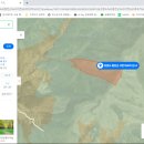 가나부동산중개사무소 이미지