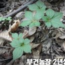 부건농장 이미지