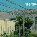 인하요양원
