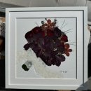 꽃누르미 | 대구 신비디움 부케 말리기, 꽃 본연의 화형을 그대로 담아내기