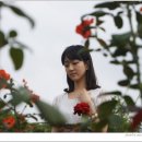 꽃보다사랑 이미지