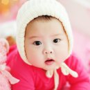 라임오렌지 이미지