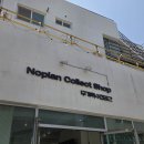 헤이리로(헤이리맞은편 1번게이트) | [파주 여행] 헤이리예술마을 식물 전시 희귀식물마켓! 무계획수집공간 후기