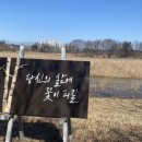 비봉체육공원 야구장 이미지