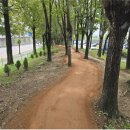 전원2단지어린이공원 | 시민의 건강길, 맨발길 조성