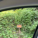 남해 그곳 | 남해 오션뷰 독채 펜션 "남해 그곳"