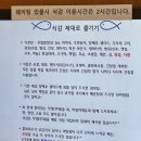 광안리 횟집 &#39;식감&#39; 봄도다리와 모듬회 그리고 바질가자미구이까지 솔직후기