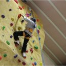 꽃피우다 이미지