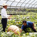 하동슈퍼 뉴시스