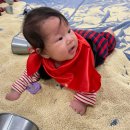 풀잎어린이집 | [5개월] 홈플러스 문화센터 봄학기, 풀잎아이오감놀이 보물섬놀이데이 후기
