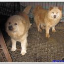 김선규농장 이미지