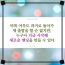 은퇴자의 나쁜점 4,급속히 늙을수도 있다. 이미지