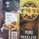 커피허브나무 이미지