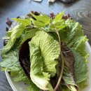 오전동 약수터 이미지