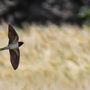 한강시민공원 이미지