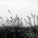 소리풍경 이미지