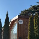 낭낭그루밍 | 서산당진 카페 에덴136 개냥이 두마리가 반겨주는 고요한 세상