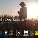 고Dog