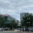 최고집솥뚜껑