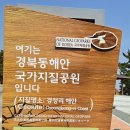 북영덕농협 축산항지점 | 해파랑길 21코스(영덕해맞이공원～축산항)끝없이 이어진 해변길! 제대로된 해파랑길을 걷는다 !