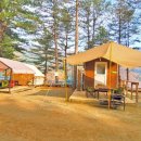 솔다람숲캠핑장 이미지