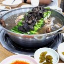 성석능이백숙 이미지