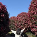 홍스베이커리 | 1월 中 제주에서 보낸 시간들