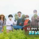 남해섬애약쑥영농조합법인