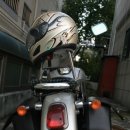 데이스타 이미지