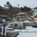 알프스공인중개사사무소 이미지