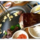 참좋은 한우 농장 Daum카페