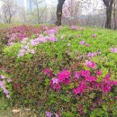 엘림하우스 이미지